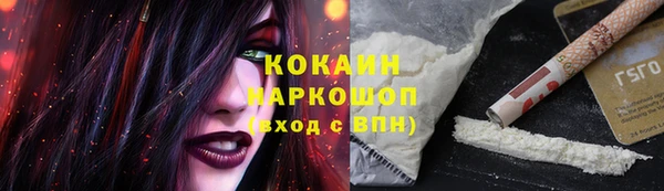 твердый Аркадак