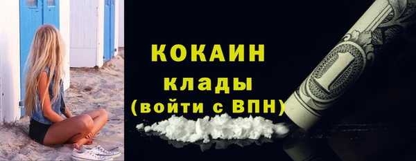 твердый Аркадак