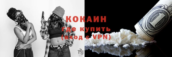 твердый Аркадак