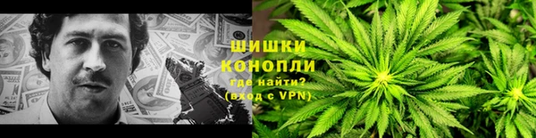 PSILOCYBIN Арсеньев